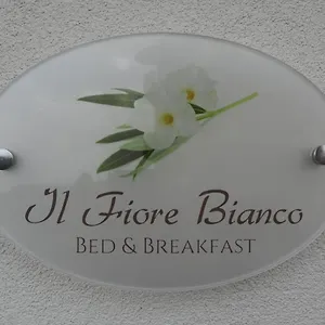 Il Fiore Bianco Bed & Breakfast
